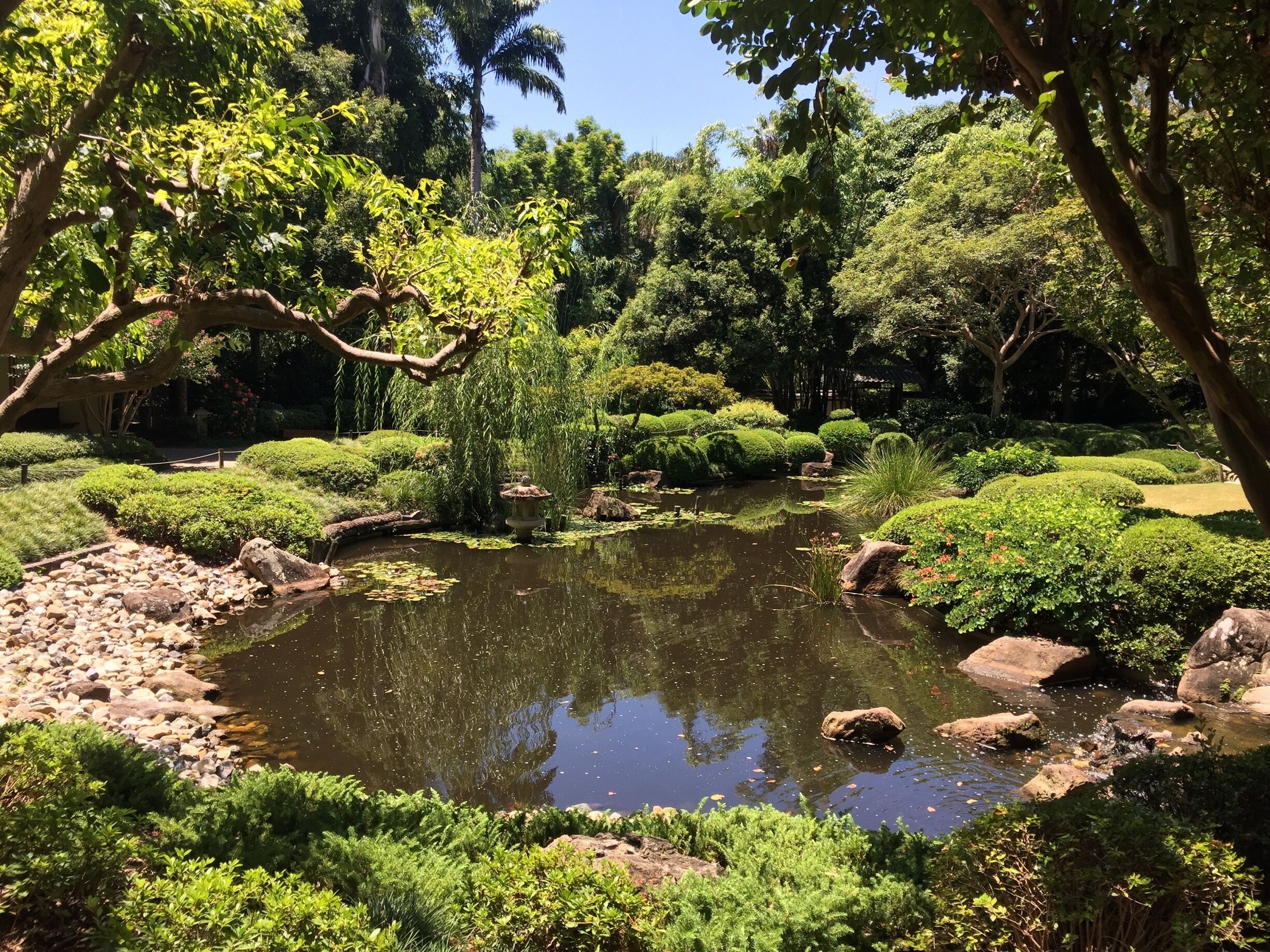A Japanese garden at the Mt Coot-Tha Botanic Gardens. Hot day but beautiful walk. #LifeAtExpedia