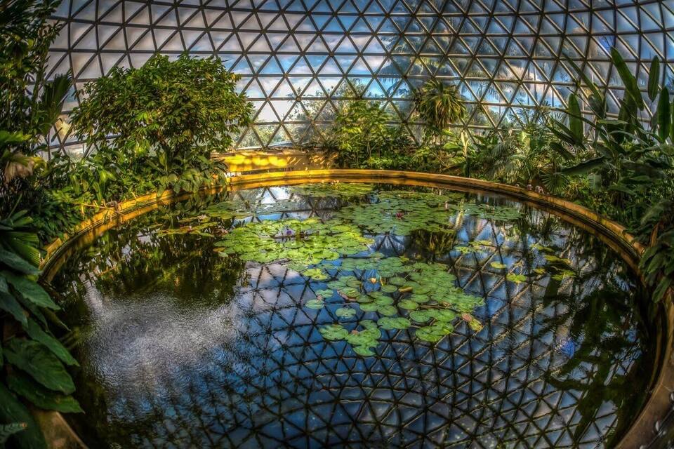 An indoor garden with a water feature, surrounded by lush greenery and a geometric glass ceiling.