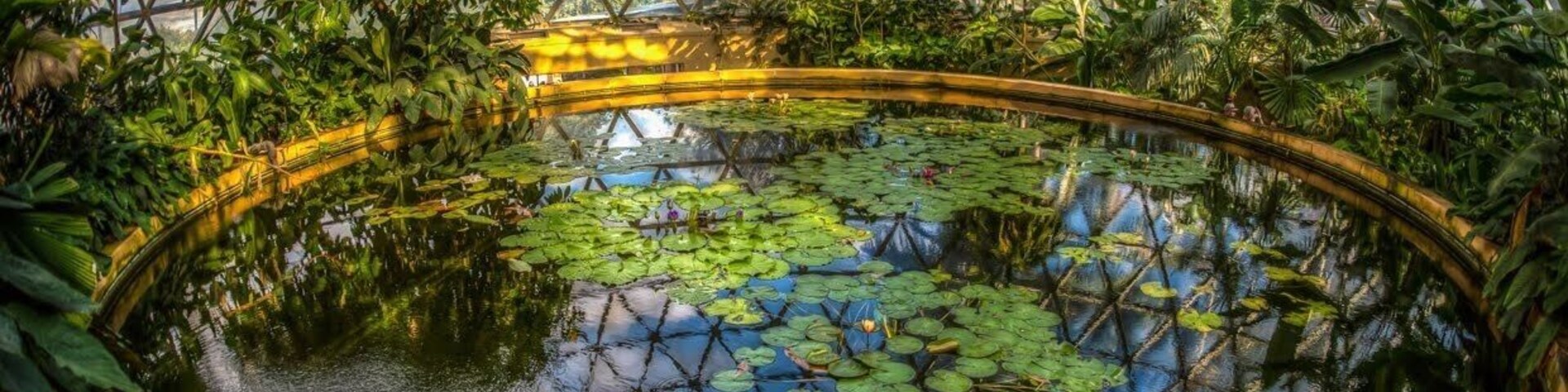 Great place to spend a few hours. This inside hot house is great for photos. There are lots of other Gardens including a really pretty Japanese themed one.