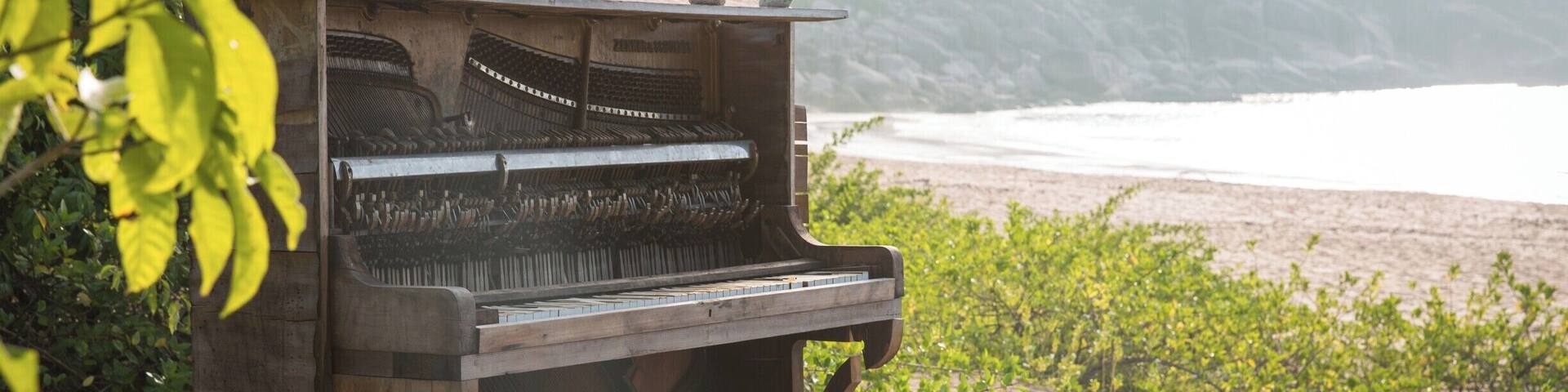 Down a gnarly dirt road you'll find my favorite beach on Magnetic Island called Radical Bay. And hidden amongst the trees there's a mysterious piano.