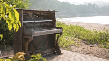 Down a gnarly dirt road you'll find my favorite beach on Magnetic Island called Radical Bay. And hidden amongst the trees there's a mysterious piano.
