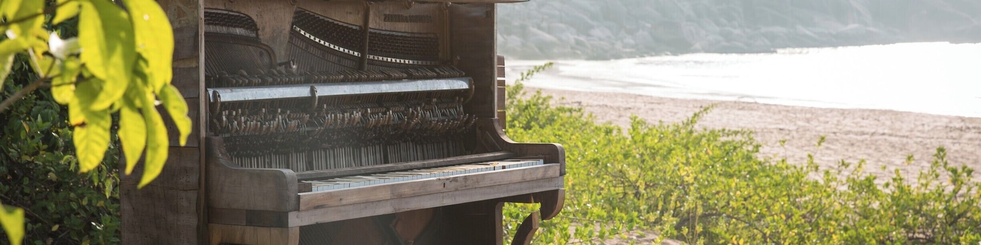 Down a gnarly dirt road you'll find my favorite beach on Magnetic Island called Radical Bay. And hidden amongst the trees there's a mysterious piano.