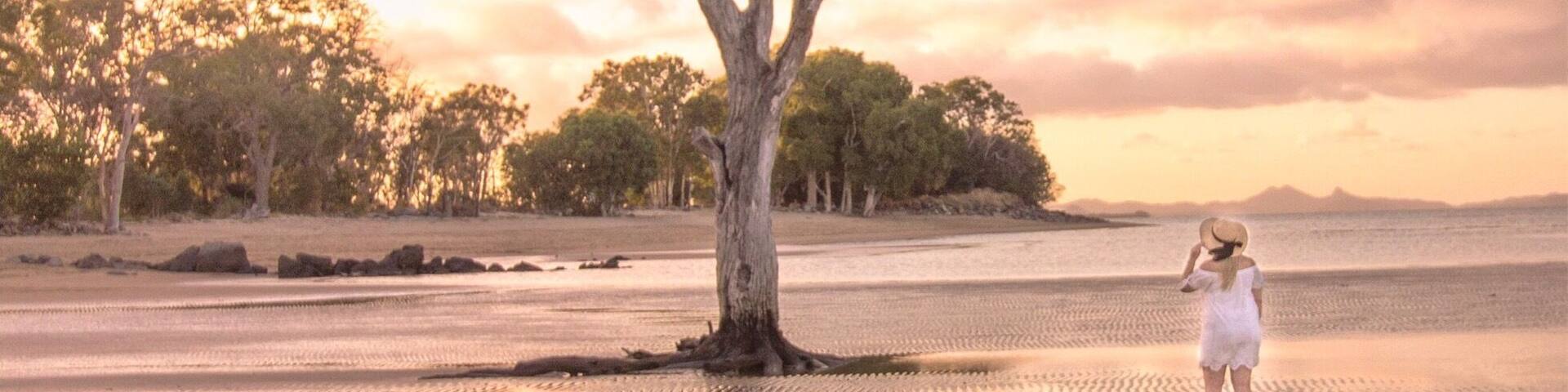 The best place to begin is always the beginning 🌅🌴💃