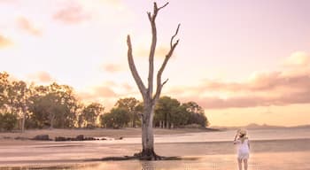 The best place to begin is always the beginning 🌅🌴💃