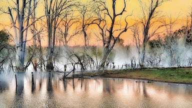 A serene lake with leafless trees and a sunset sky.