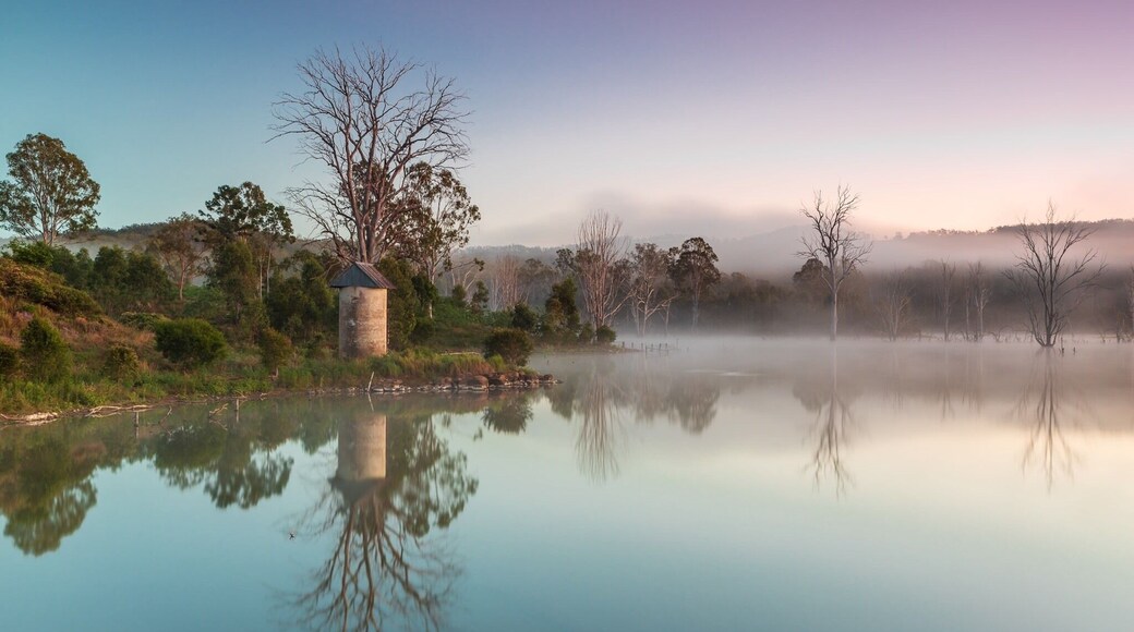 Early morning to catch first light at Wyaralong , was hoping for some fog and I got it