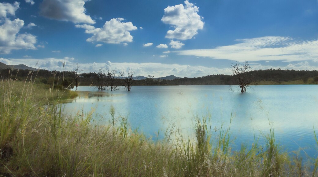Lovely spot for a picnic.