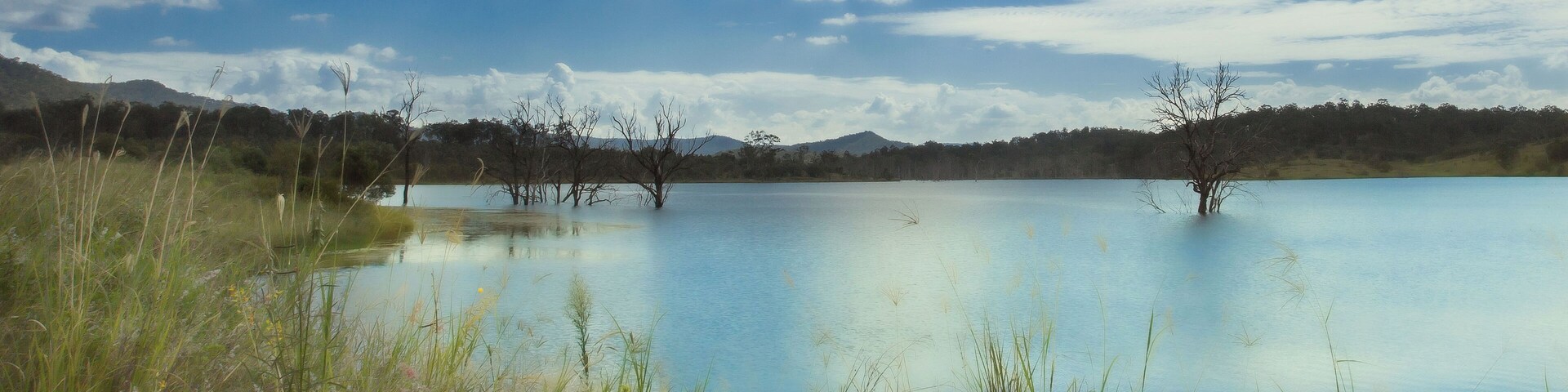Lovely spot for a picnic.