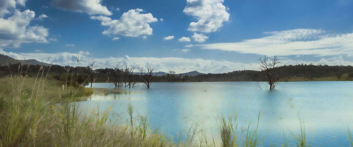 A calm lake surrounded by grass and trees under a clear sky.