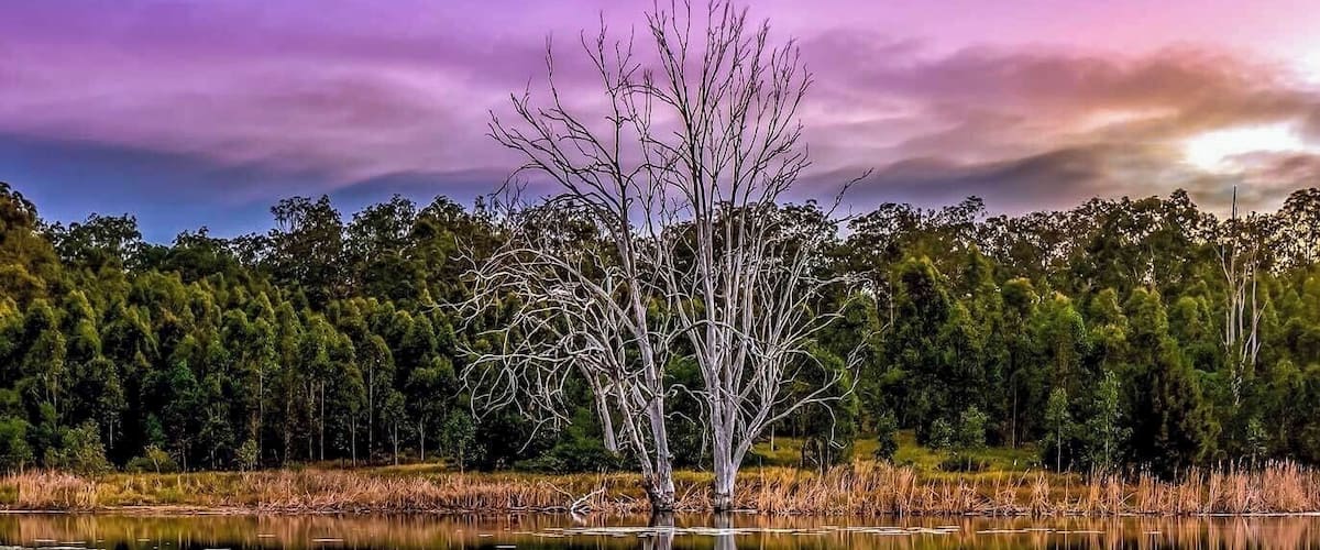 Another shot from last time at Wyaralong dam