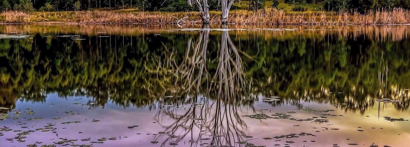 Another shot from last time at Wyaralong dam