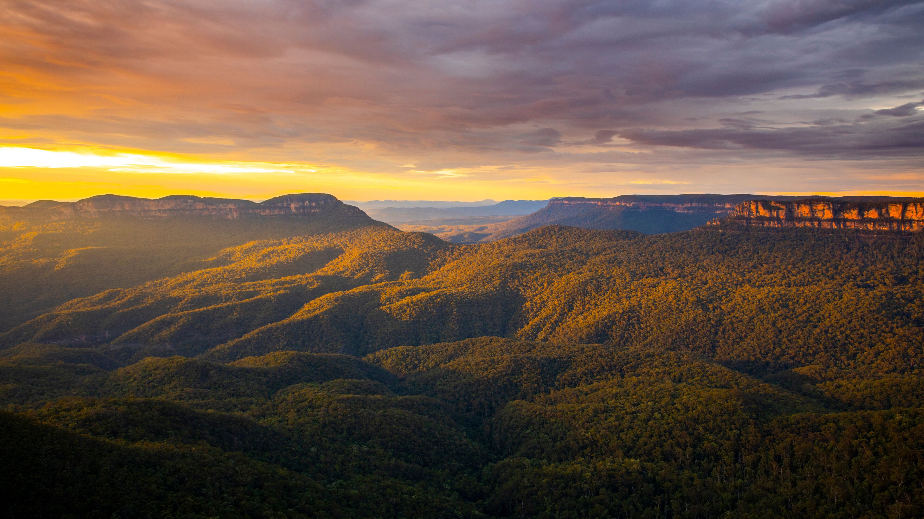 A mountainous landscape with dense forests and a sunset.