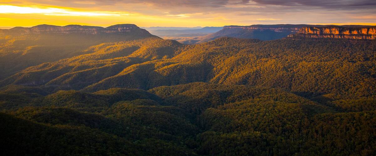 A mountainous landscape with dense forests and a sunset.