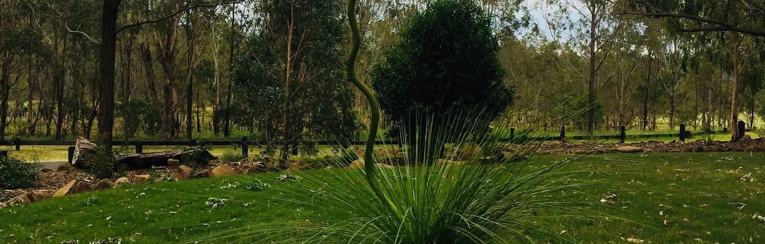Beautiful Aussie bush scenes at Cooby Dam picnic area. These are the funkiest grass tree flowers I've seen! #LifeAtExpedia