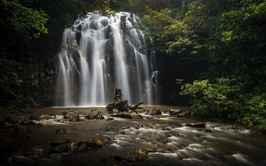 Ellinjaa Falls
This is one of the waterfalls on the Atherton Tablelands Waterfall circuit, and we arrived at this one whilst it was still raining.  Which was a pain to photograph in, but good that there was plenty of water flowing.
These falls are a short walk down from the carpark.