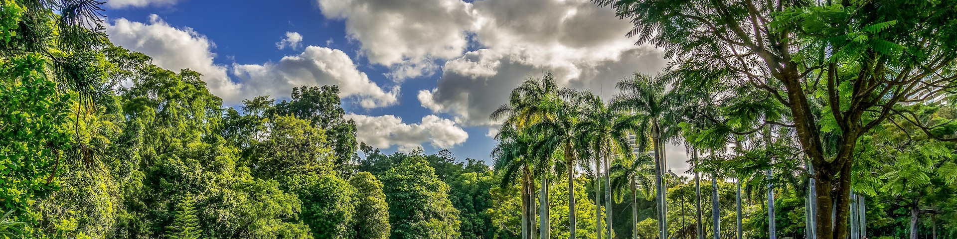 Um parque verdejante com árvores altas, céu azul límpido e nuvens esparsas.