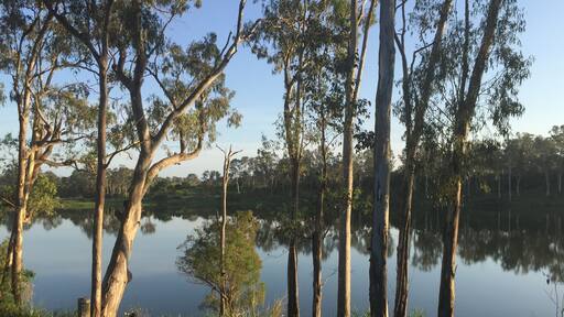 Elliot River at dawn
