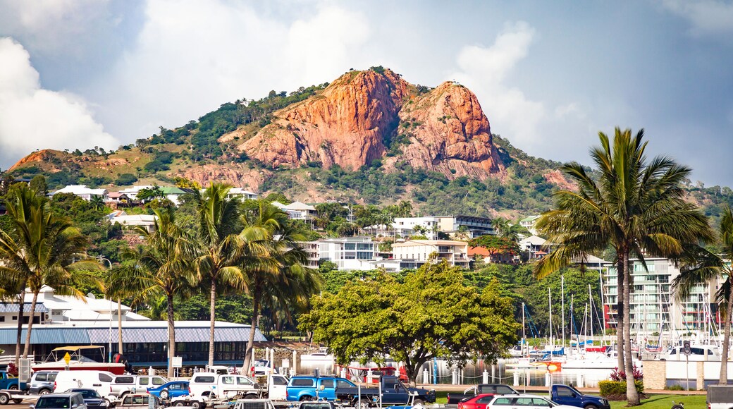 A coastal town with a prominent mountain in the background, palm trees, and a marina with boats.