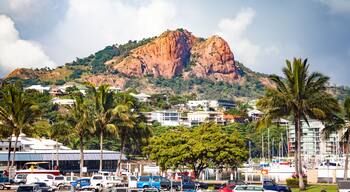 A coastal town with a prominent mountain in the background, palm trees, and a marina with boats.