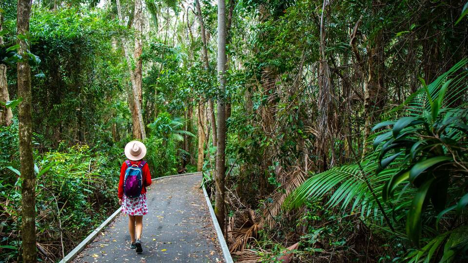 A person walking on a wooden boardwalk through a dense forest.