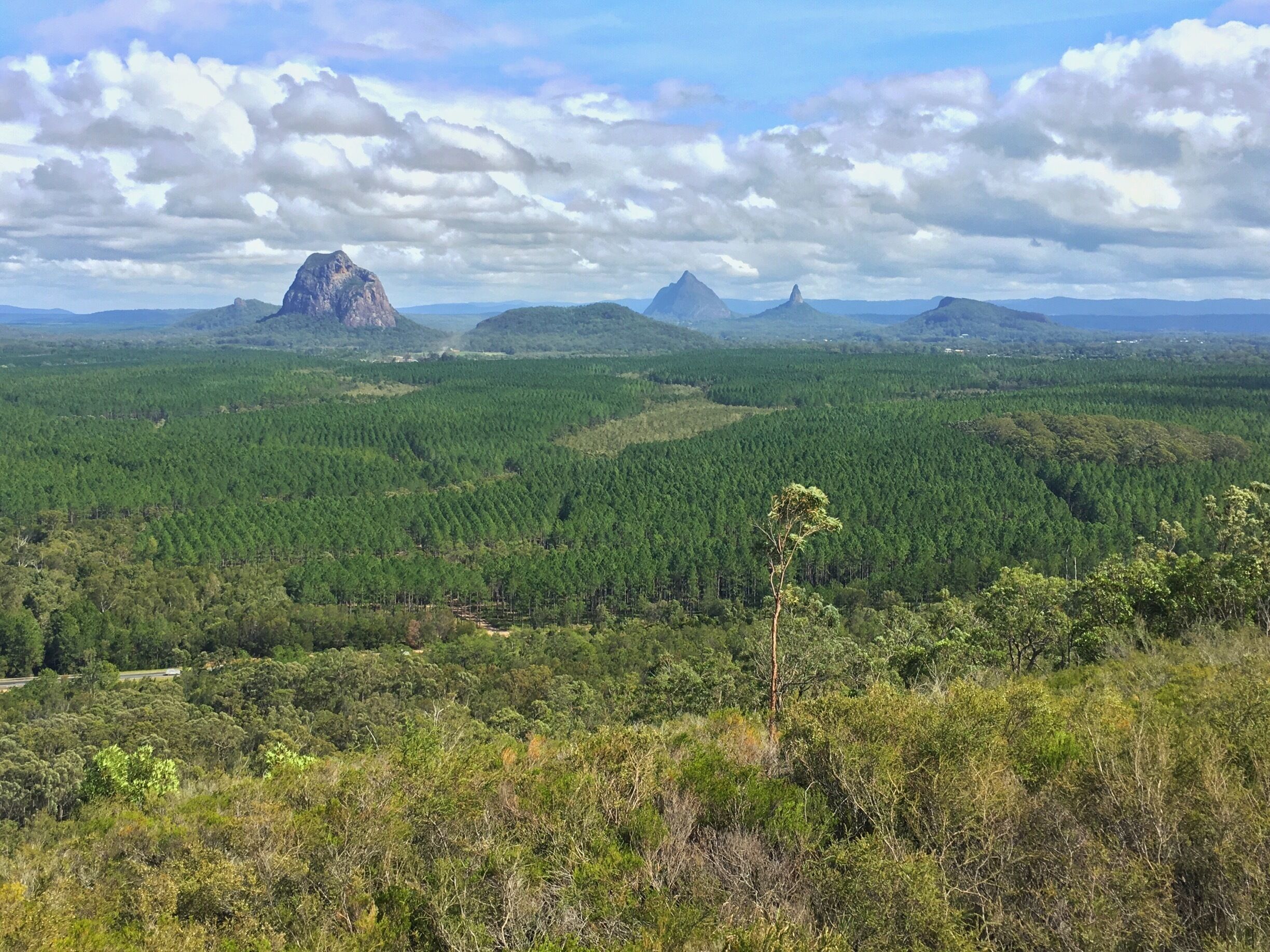 Probably the best view on Glass House Mountains from the Wild Horse Mountain near a motorway exit. Just fabulous.