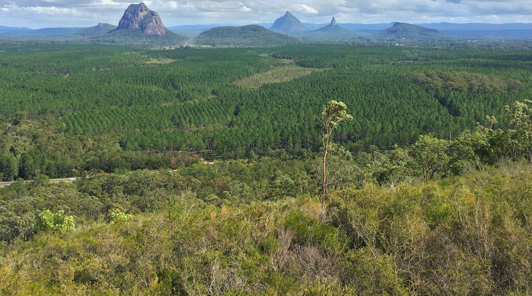 Probably the best view on Glass House Mountains from the Wild Horse Mountain near a motorway exit. Just fabulous.