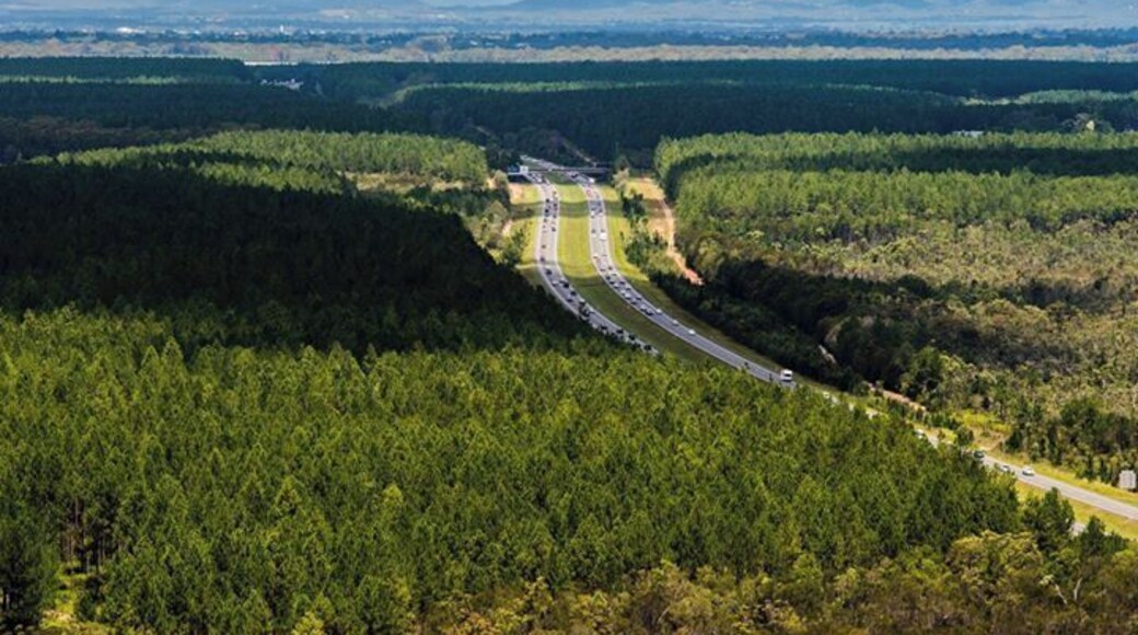 easy to get to awesome view of the Glasshouse Mts
