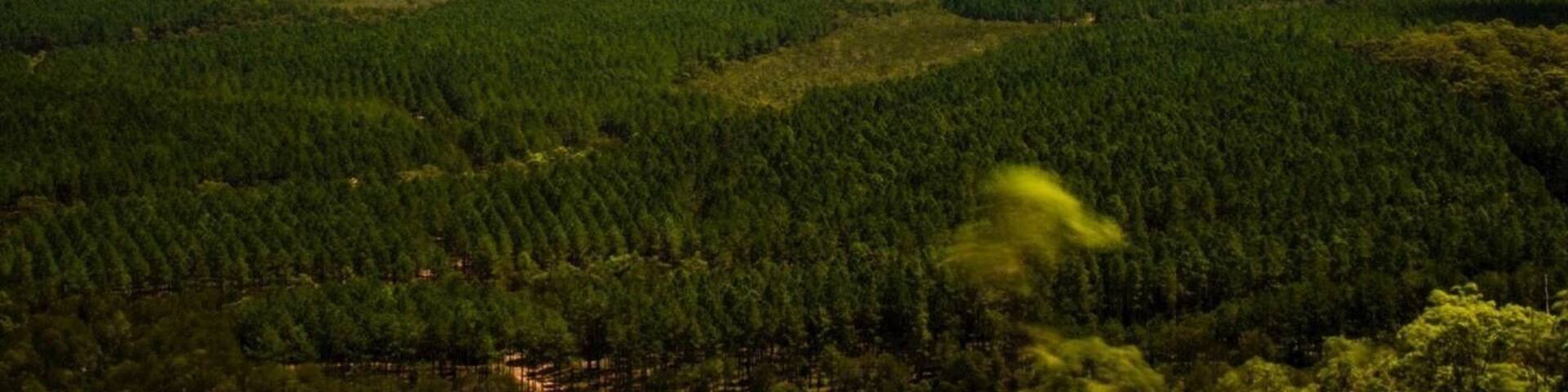 #Springfun Sunshine Coast great place to explore