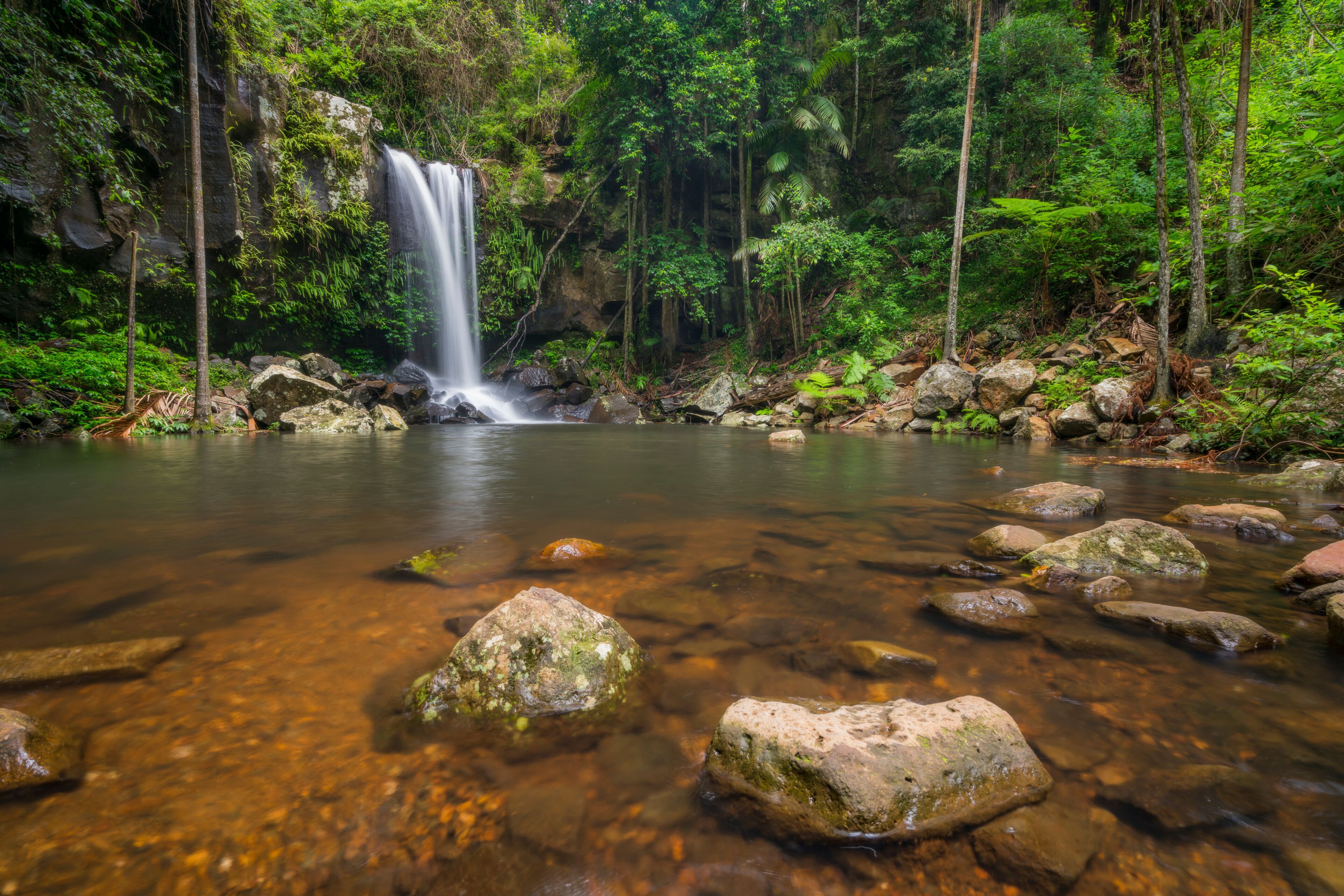 Una cascada en un área boscosa, con agua cristalina y rocas al frente.