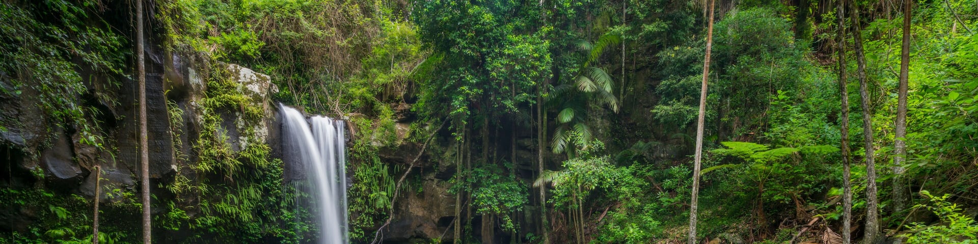 A waterfall in a forested area with clear water and rocks in the foreground.
