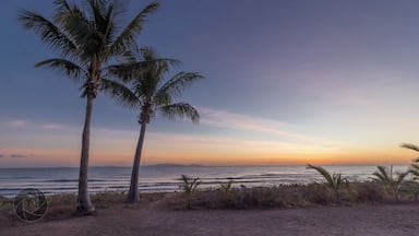 Absolute beachfront sites at the caravan park.
