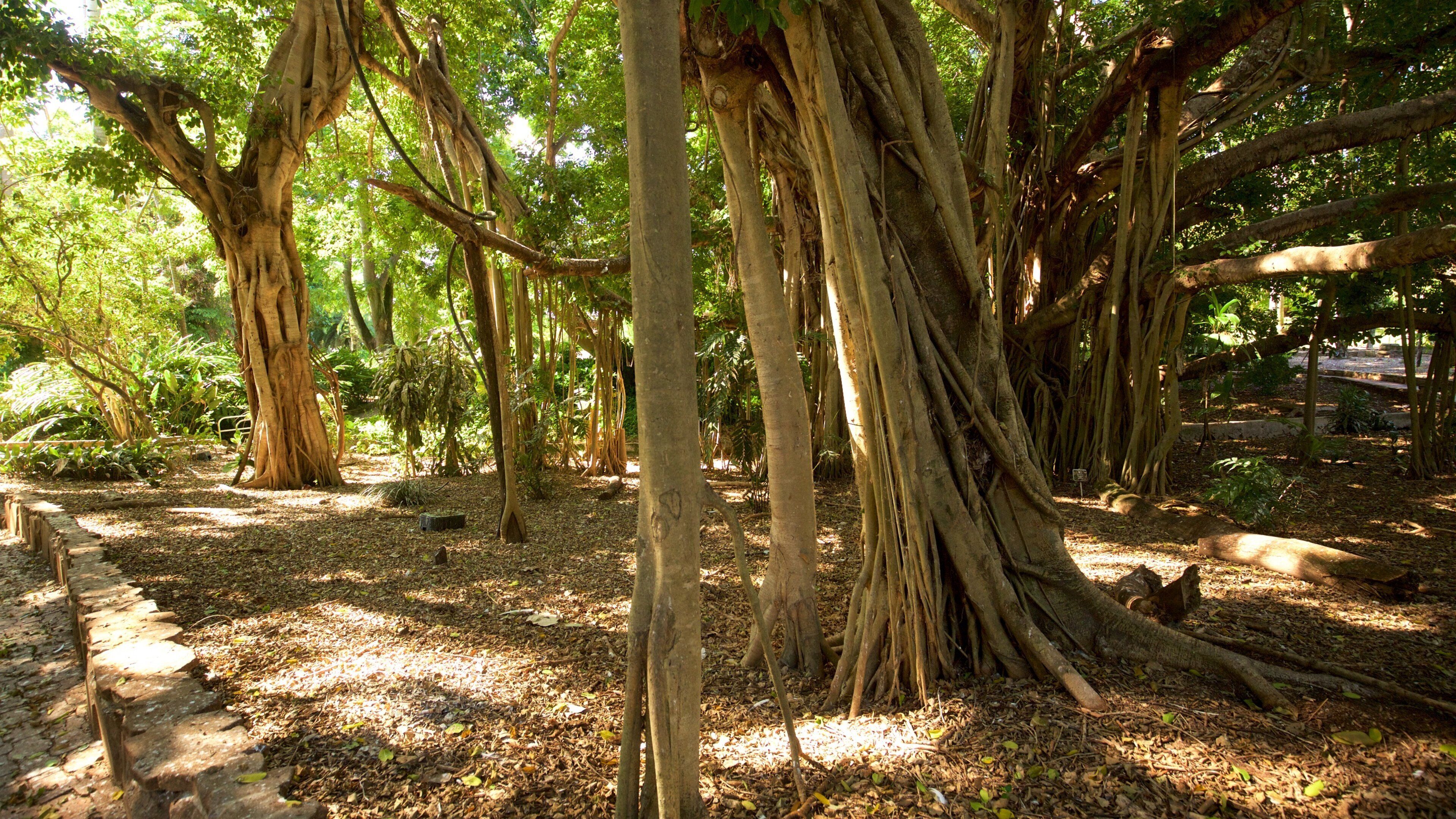 The Range showing a park