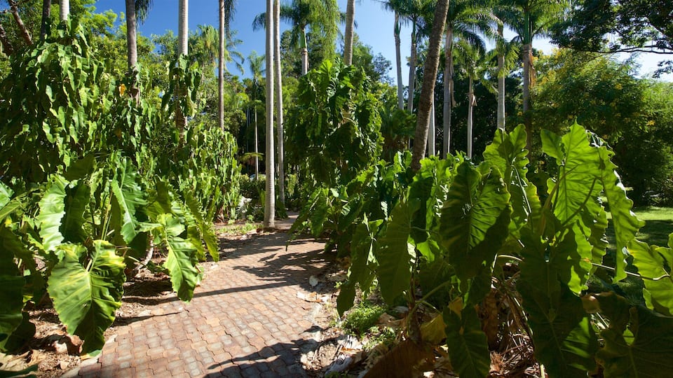 The Range featuring a park