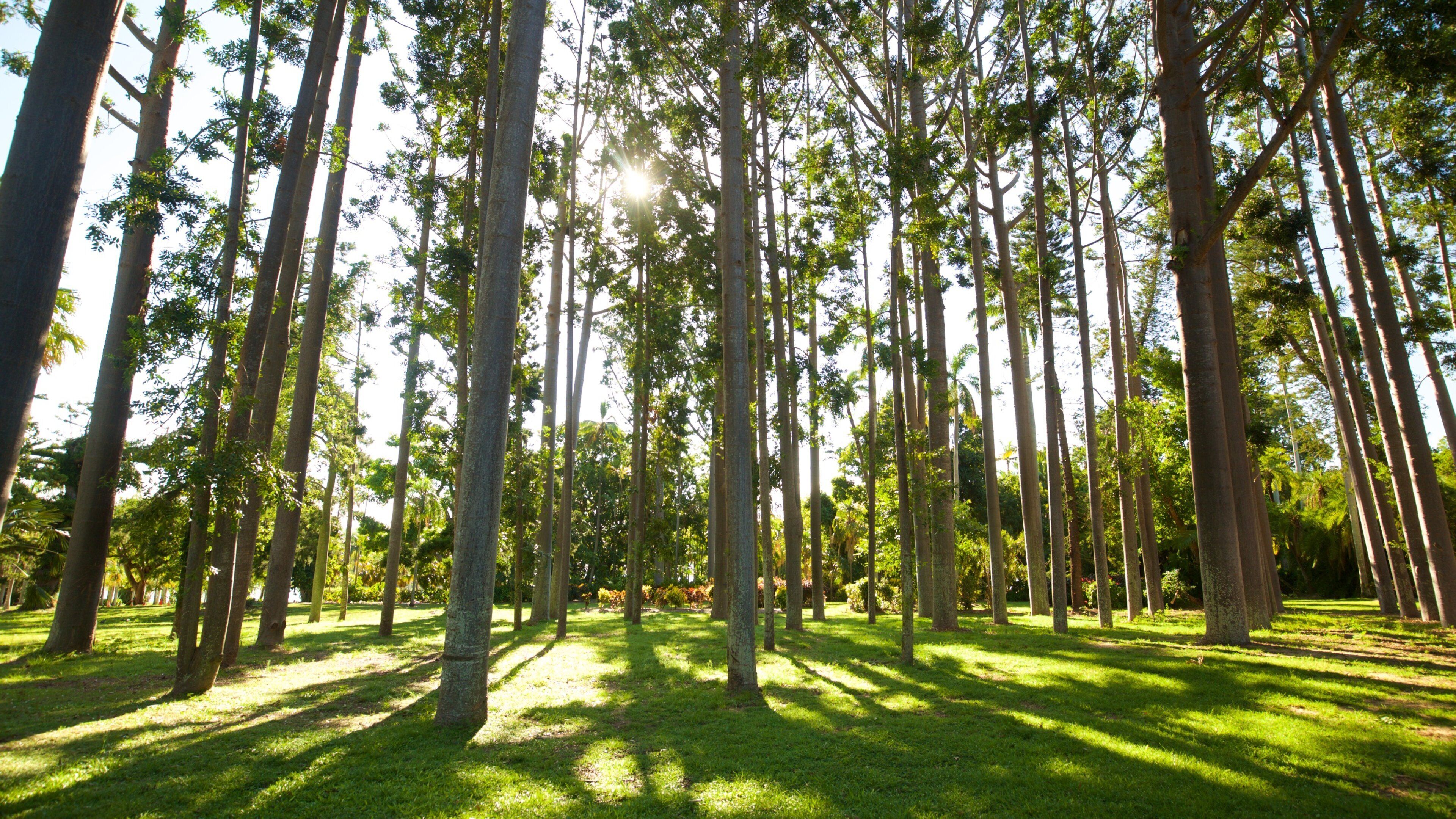 Rockhampton which includes a park