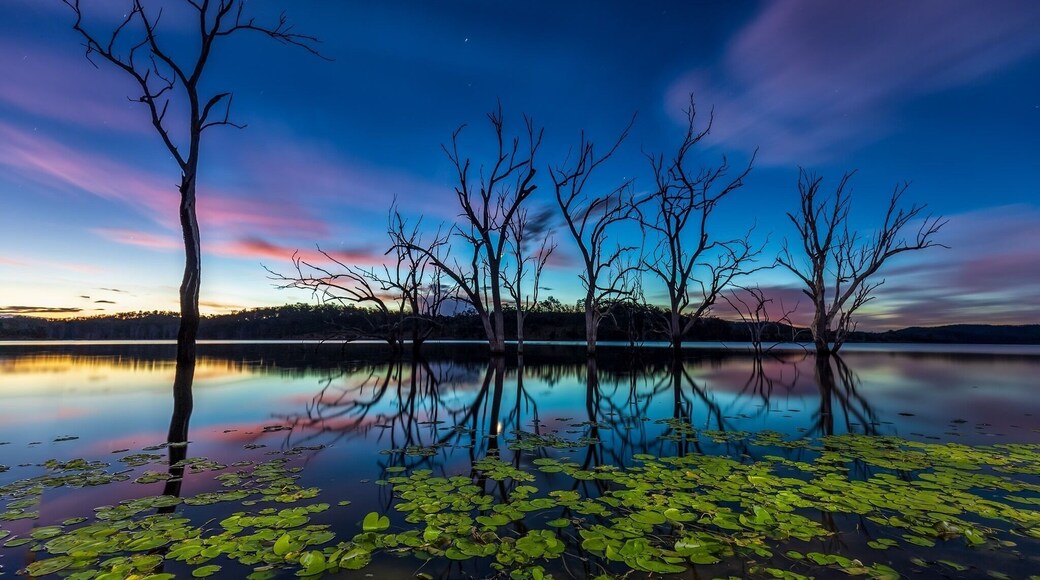 Blue hour reflections just after sunset at Wyaralong dam