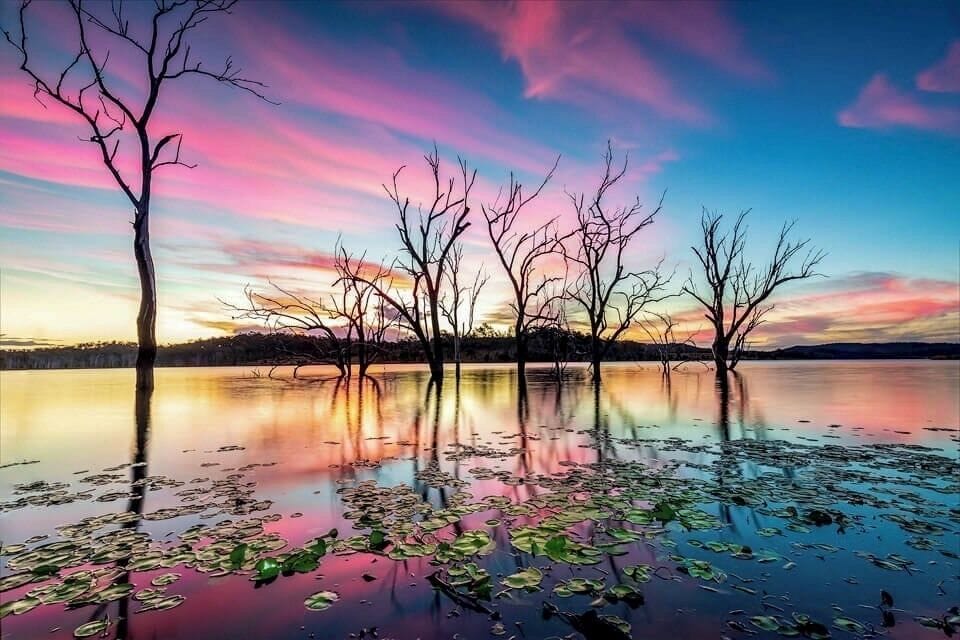 Another shot of the trees at Wyaralong the sky was amazing