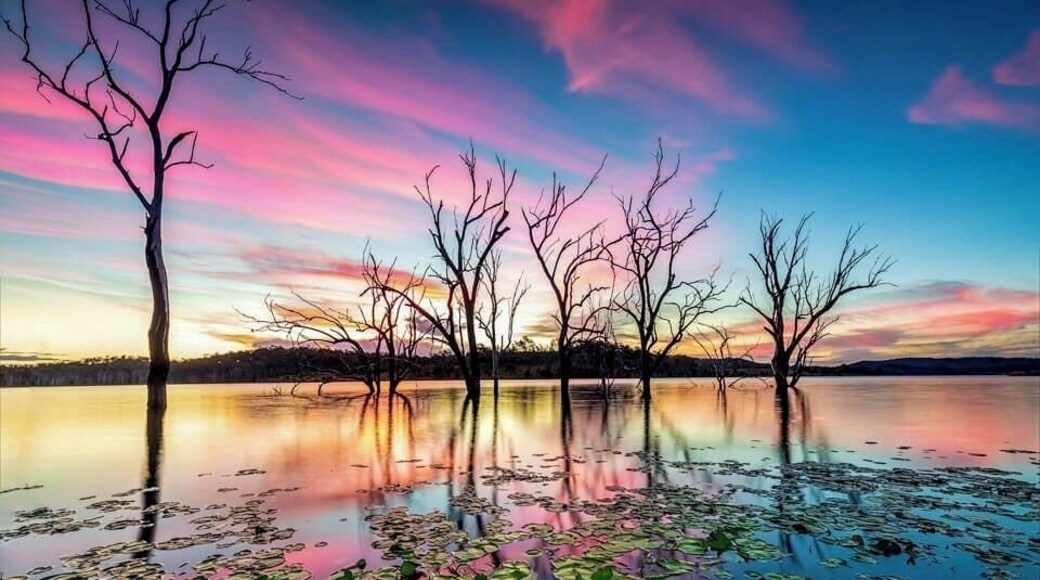 Another shot of the trees at Wyaralong the sky was amazing