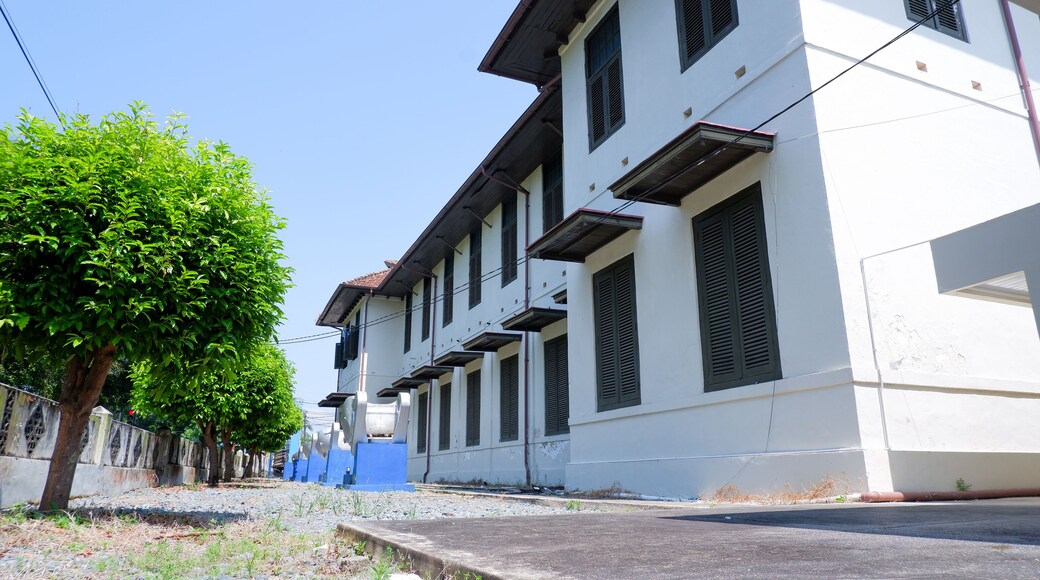 A row of white buildings with dark shutters, a tree-lined street, and a clear blue sky.