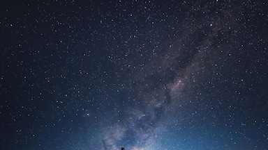 A vintage truck and a cow skull in a starry night field.
