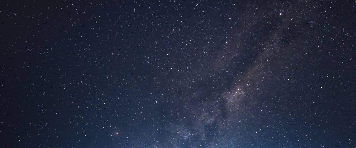 A vintage truck and a cow skull in a starry night field.
