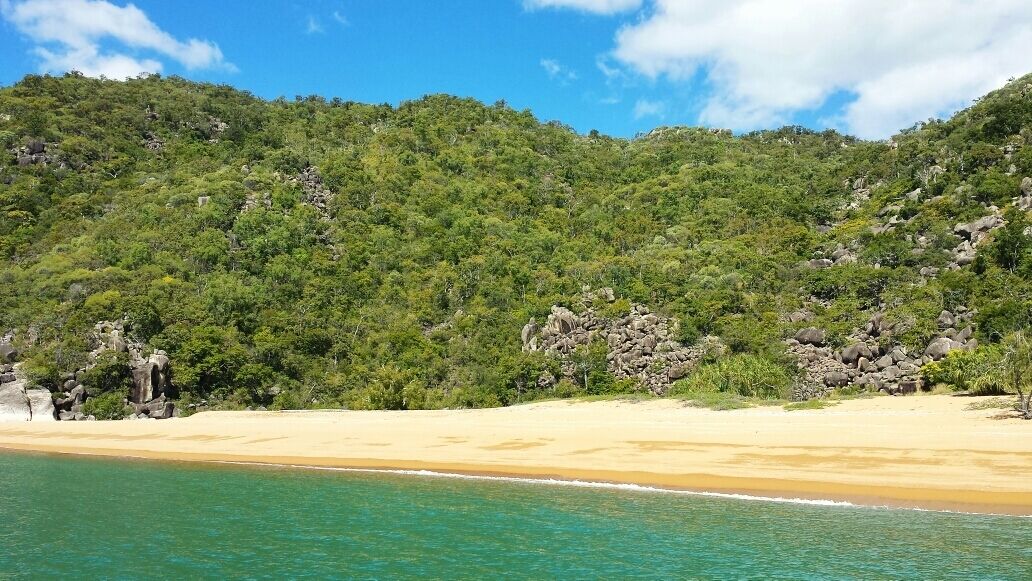 Una playa con agua turquesa cristalina, orilla de arena y un promontorio cubierto de bosque.