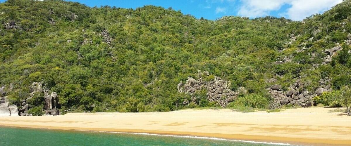 A beach with clear turquoise water, sandy shore, and a forested hillside.