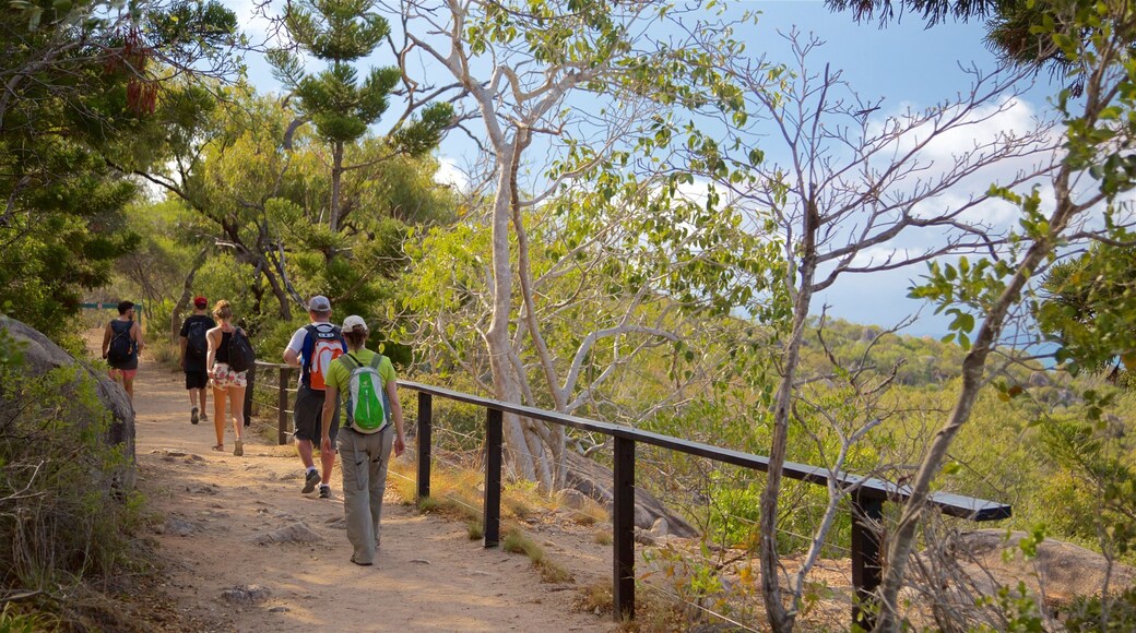 Magnetic Island featuring hiking or walking and tranquil scenes as well as a small group of people
