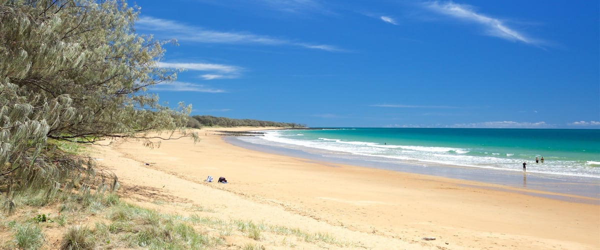 Bargara