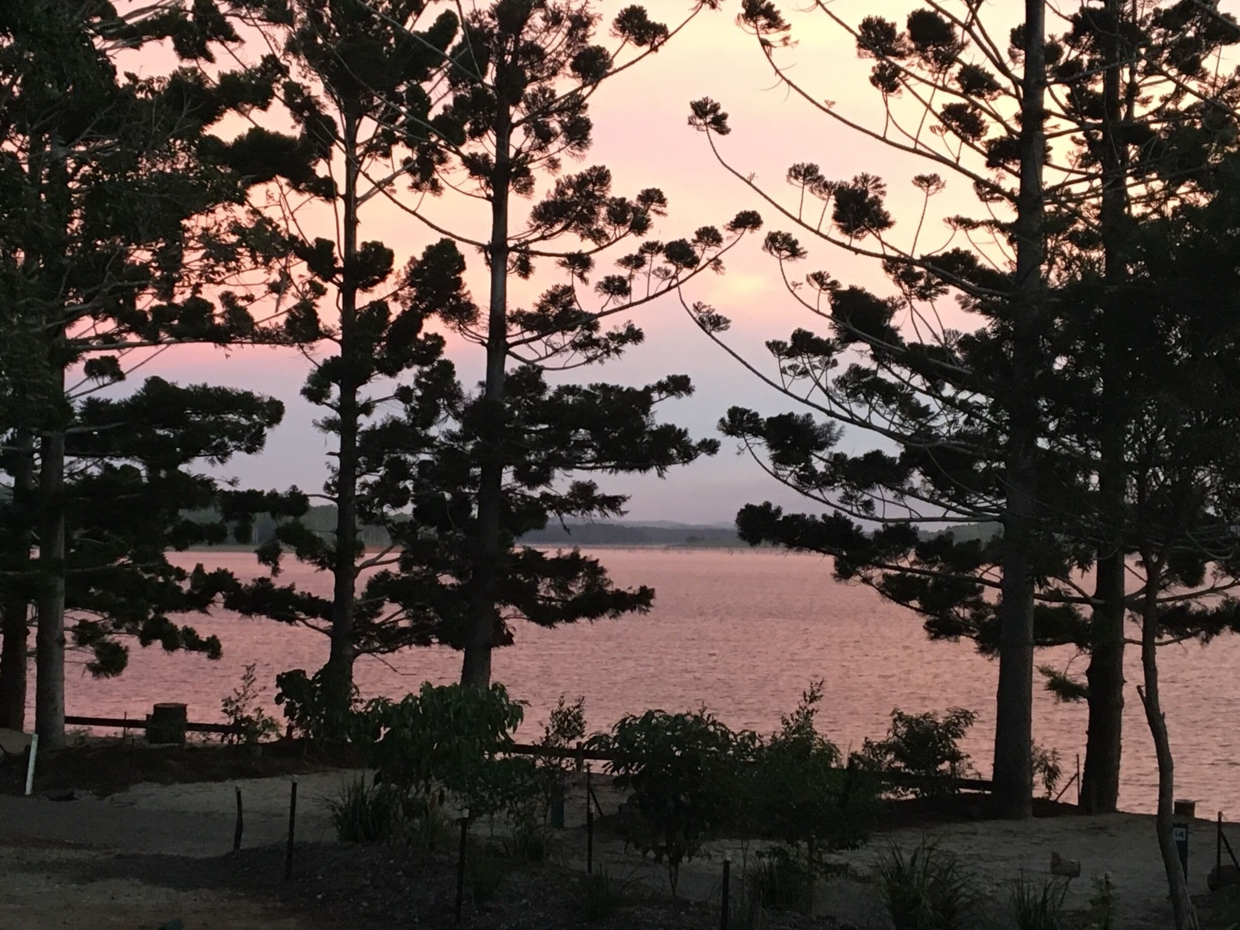 Un atardecer sobre un lago tranquilo con árboles en primer plano.