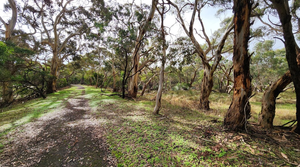 Nixon-Skinner Conservation Park in South Australia