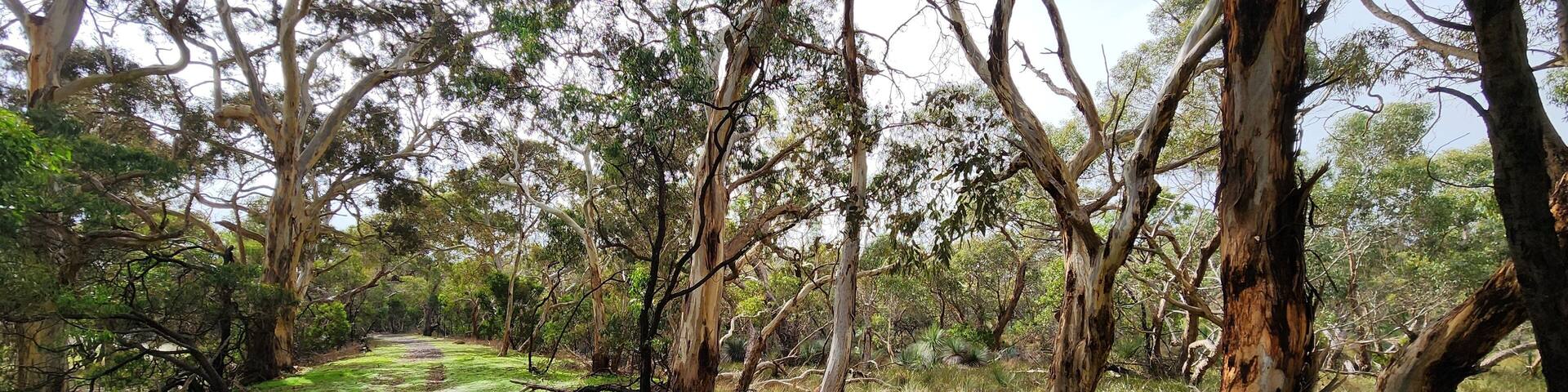 Nixon-Skinner Conservation Park in South Australia