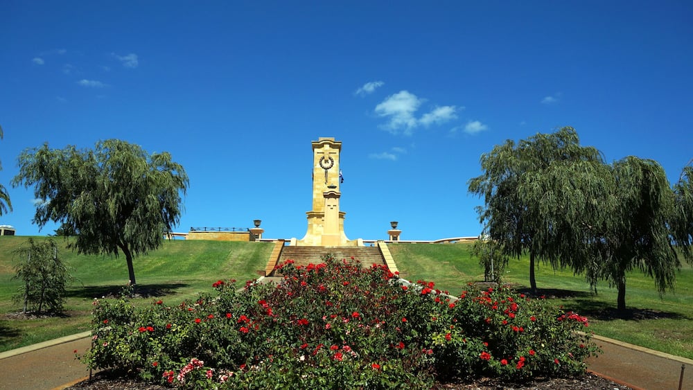 A clock tower with a garden of red flowers in front.