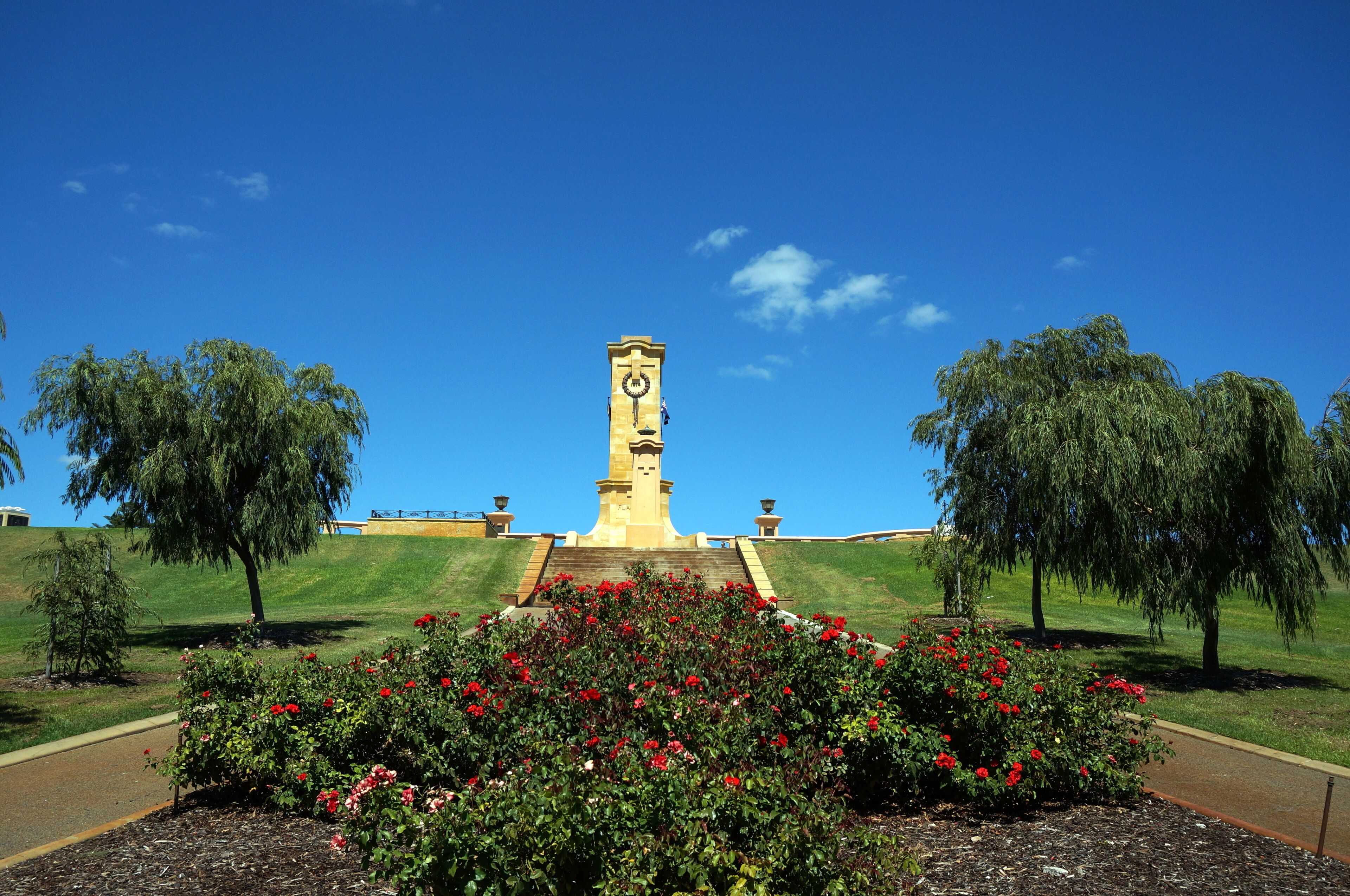 A clock tower with a garden of red flowers in front.