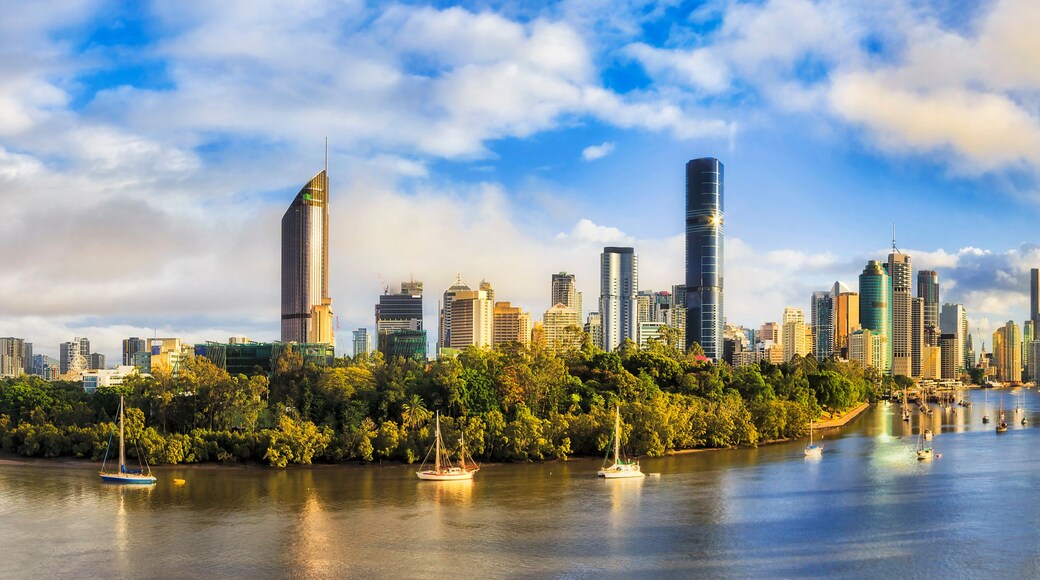 BNE CBD Cliffs 40mm pan